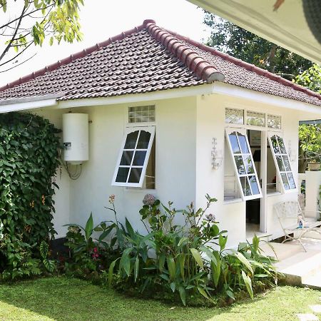 Pondok Plantation Luxury Mountain Escape Bedugul Bedugul  Exterior foto