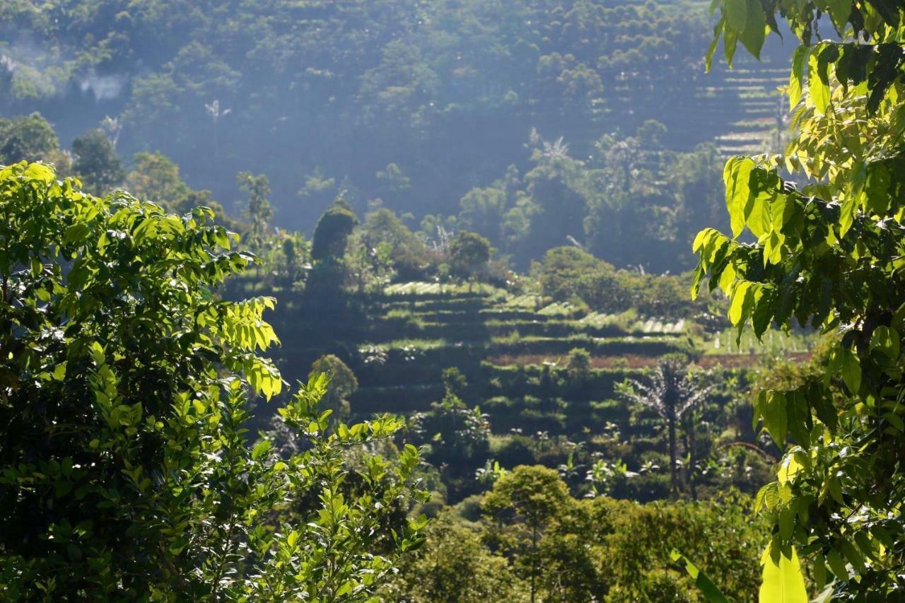 Pondok Plantation Luxury Mountain Escape Bedugul Bedugul  Exterior foto
