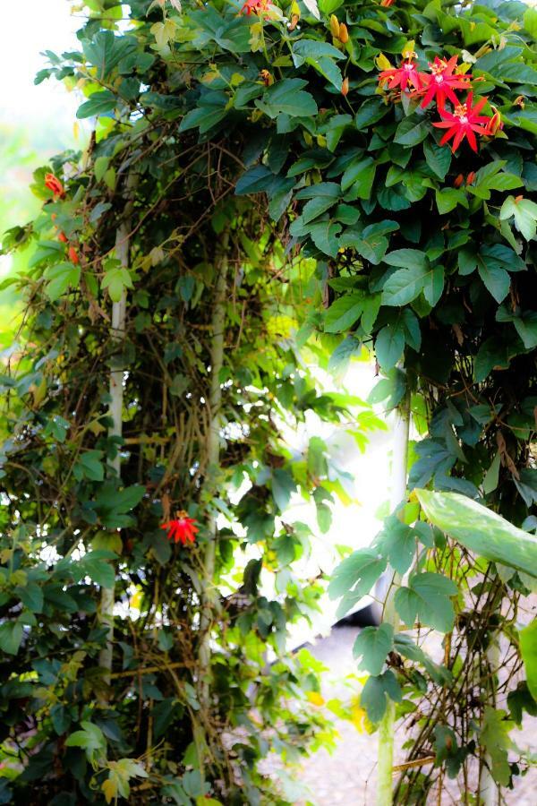 Pondok Plantation Luxury Mountain Escape Bedugul Bedugul  Exterior foto