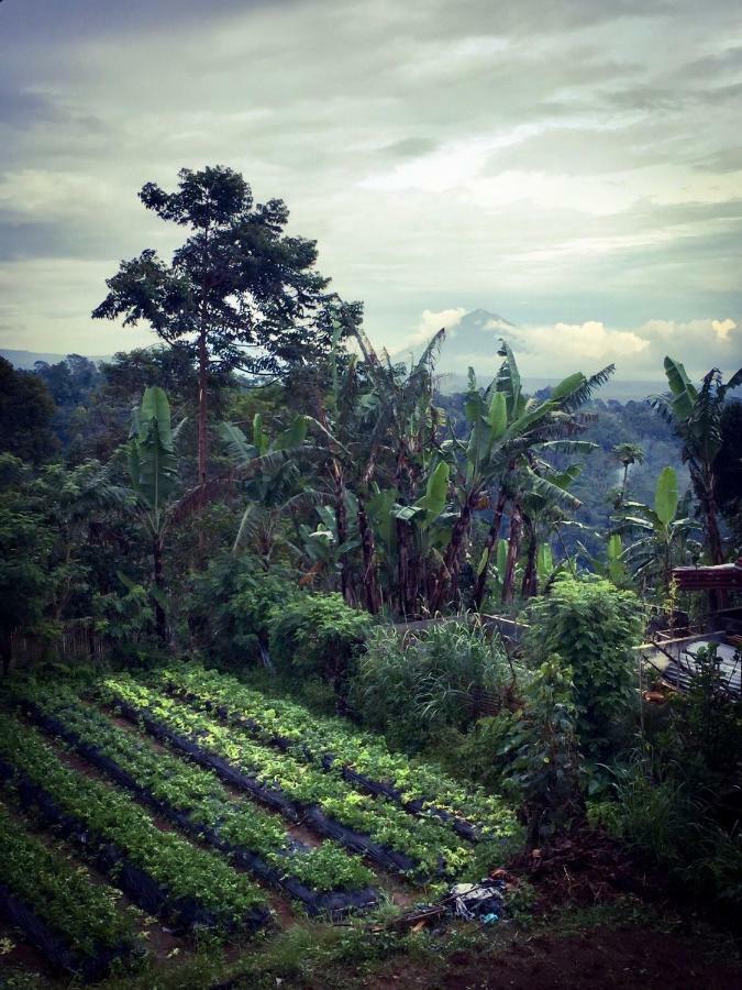 Pondok Plantation Luxury Mountain Escape Bedugul Bedugul  Exterior foto